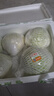 東昇青椰菜700g 卷心菜 包心菜京包 廣州蔬菜新鮮配送 曬單實(shí)拍圖