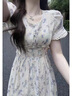 莫代爾溫柔風連衣裙女2025夏季新款收腰顯瘦甜美茶歇氣質(zhì)薄款透氣涼感裙 圖片色 XL 120-145斤 曬單實拍圖
