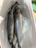 八號(hào)碼頭 挪威青花魚4條裝 船凍大西洋鯖魚新鮮原料魚 海鮮順豐 青花魚（4條共5斤） 曬單實(shí)拍圖