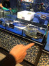魚小森移動海鮮缸貝類池超市酒店飯店魚池海鮮魚缸海鮮池商用制冷一體機 1.0x0.8x1.0m 魚小森?P1 基礎款24h活氧循環(huán)過濾燈光系統(tǒng) 曬單實拍圖