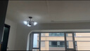 燈將美式吊燈客廳餐廳燈法式中古復古臥室燈房間飯廳吸頂燈具花朵玻璃 3頭 送 （全光譜護眼）三色 曬單實拍圖