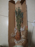 水培米竹盆栽室內植物小葉綠植矮化竹子苗辦公桌面觀(guān)賞鳳尾竹盆景 米竹50-60厘米【中盆30棵不活包賠】 曬單實(shí)拍圖