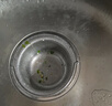 焜燁 廚房水槽過濾網(wǎng)水池下水道垃圾濾網(wǎng)不銹鋼洗碗池菜盆漏斗防堵提籠 【304不銹鋼】大號提手細(xì)網(wǎng)14cm（1個裝） 曬單實拍圖