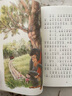 我有友情要出租/百年百部精選注音書 小學(xué)1-2年級閱讀拓展書目暑假作業(yè) 一升二暑假銜接 小升初暑假銜接 曬單實(shí)拍圖