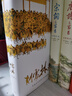 儒林外史 （56回無(wú)刪節全本 內容考證、底本精良 上百處文史知識精準注釋 內附傳世名畫(huà) 精裝典藏） 曬單實(shí)拍圖