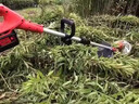 紅念電動(dòng)割草機(jī)德國(guó)充電手持電動(dòng)打草機(jī)農(nóng)用鋰電除草機(jī)草坪修剪機(jī) 升級(jí)【2電1快充】套裝 曬單實(shí)拍圖