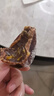特產(chǎn)級流心霜降圓柿餅老式非富平廣西吊柿子餅零食獨立包裝 特惠吊餅2斤【產(chǎn)地直發(fā)】 曬單實(shí)拍圖