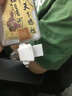 OLYSON多功能相機(jī)讀卡器適用蘋果15iphone16手機(jī)華為安卓TYPE-C電腦ccd外置高速SD/TF存儲(chǔ)卡三合一轉(zhuǎn)換器 蘋果+TYPE-C+USB：支持TF/SD卡/U盤 2.0 曬單實(shí)拍圖