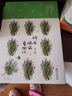 許我偷偷看向你（上下） 曬單實(shí)拍圖
