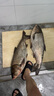 天元鄧剛千川7代魚竿鰱鳙大物竿超輕超硬釣魚竿臺釣竿釣魚裝備 7.5m 曬單實拍圖