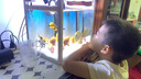 云舵魚缸背景紙畫水族箱造景裝飾壁紙缸底草缸貼紙藍白青漸變色可定制 藍白漸變 30*20厘米(長X高) 曬單實拍圖