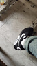 耐克（NIKE）男鞋 2025春季新款A(yù)ir Max氣墊緩震耐磨運(yùn)動(dòng)鞋透氣休閑低幫跑步鞋 指揮官/黑白配色 41 曬單實(shí)拍圖