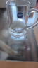 樂美雅 玻璃杯家用帶把喝水杯子加厚耐熱辦公泡茶杯鋼化微波牛奶杯 企業(yè)logo定制 班尼款450ml【單只】 曬單實拍圖
