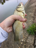 熊火熊火釣魚傘2.2m雙層遮陽防雨風(fēng)加厚黑膠釣傘可調(diào)節(jié)戶外沙灘傘 曬單實(shí)拍圖