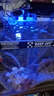 魚(yú)呼吸魚(yú)缸電子控溫加熱棒300W自動(dòng)恒溫省電加熱器小型烏龜加溫棒非變頻 曬單實(shí)拍圖