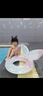 巧丂兒童游泳圈新款70#七彩美人魚(yú)游泳救生圈加厚腋下圈游泳裝備 七彩美人魚(yú)帶把手游泳圈 4-9歲 曬單實(shí)拍圖