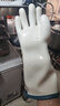 勝麗 NITEX? 耐高溫手套防凍耐低溫工業(yè)液態(tài)硅膠防燙-50℃~350℃白色GHXG350 XL碼 1副 曬單實(shí)拍圖