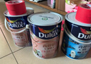 多樂(lè )士（Dulux）【同城配送】森呼吸淳零護敏抗菌全效兒童漆 無(wú)添加乳膠漆A8207 15L套裝不可調色 曬單實(shí)拍圖