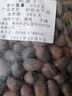 北京同仁堂【順豐包郵】中藥材石蓮子500克 苦石蓮子250g 殼蓮子 蓮子石連子 石蓮子250克 曬單實拍圖