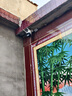 羅菲克免流量高清室外太陽能監(jiān)控雙攝像頭遠(yuǎn)程監(jiān)控360度無死角全景帶夜視戶外防水全景球機(jī) WIFI款有網(wǎng)推薦【雨天防水+全彩夜視+64G】 曬單實(shí)拍圖