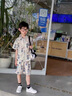 迪士尼童裝男童夏裝套裝2025新款洋氣兒童短袖襯衫潮男寶寶痞帥炸街衣服 639短袖套裝 90 【建議身高85cm左右】 曬單實拍圖