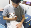 Hush Puppies【涼感冰皮】暇步士男裝2025夏季百搭舒爽涼感短袖polo衫 月光灰 L 曬單實(shí)拍圖