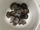 珍品堂 大連即食海參 高品質(zhì)深海底播遼參 開袋即食 滋補(bǔ)佳品 海鮮水產(chǎn) 即食海參2斤【24-32只】 曬單實(shí)拍圖
