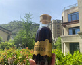 憶中梅正宗仙居原漿楊梅酒養(yǎng)生果酒新鮮楊梅浸泡青梅子酒糧食酒泡釀 18度375ml*2瓶（無禮盒） 曬單實拍圖