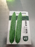 北蔬 苦瓜種子種苗早熟疙瘩綠苦瓜盆栽蔬菜種籽 良苦一號(hào)苦瓜種子30粒 曬單實(shí)拍圖