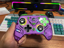 aolion澳加獅福音K10游戲手柄Switch2手柄Pro空洞騎士絲之歌PC電腦版steam雙影奇境無(wú)線(xiàn)藍牙手機安卓平板 福音全能游戲手柄 紫色EVA-1 曬單實(shí)拍圖
