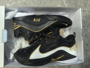 耐克男子籃球鞋LEBRON XXII EP運動鞋HV8453-100 43  曬單實拍圖