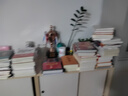 弗布克工廠精細(xì)化管理手冊(cè)系列：工廠質(zhì)量控制精細(xì)化管理手冊(cè)（第2版）（人郵普華出品） 曬單實(shí)拍圖