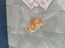 中國黃金China Gold愛心黃金項鏈女士足金吊墜首飾生日禮物女送女友老婆生日禮物 足金吊墜+足金鏈+證書禮盒 曬單實拍圖