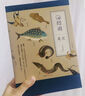 【當(dāng)當(dāng)】海錯(cuò)圖筆記 套裝+青少版無(wú)窮小亮張辰亮新作 海洋生物科普讀物 中小學(xué)生科普類(lèi)閱讀書(shū)籍  海錯(cuò)圖筆記系列套裝 【4冊(cè)禮盒版】海錯(cuò)圖筆記 贈(zèng)掛袋+貼紙 曬單實(shí)拍圖