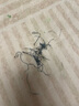 漢唐貝貝女童春裝2025新款連衣裙兒童春秋季洋氣牛仔小女孩女寶寶時(shí)髦裙子 藍色 140 (建議125-135cm 7-8周歲） 曬單實(shí)拍圖