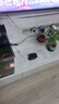 寵小帥魚(yú)缸陶罐水榕造景擺件活體真水草莫斯躲避屋真植物魚(yú)蝦繁殖裝飾品 水榕-紅色蘑菇陶罐 曬單實(shí)拍圖