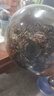 全度煮茶壺花茶壺套裝英式泡茶壺茶具加厚耐熱玻璃北歐風(fēng)格輕奢養生壺 煙灰色財鼠壺+小坐圓形底座 曬單實(shí)拍圖