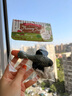 狗狗發(fā)聲玩具乳膠解悶?zāi)パ佬⌒陀兹捏w力寵物玩具 Petio乳膠玩具 野鴨 曬單實拍圖