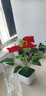 百動(dòng)12頭仿真紅掌盆栽假花人造綠植室內盆景假植物裝飾品塑料花卉擺件 曬單實(shí)拍圖