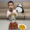 WCZ德國品牌保溫杯女生高顏值初中生316不銹鋼兒童吸管水杯學(xué)生上學(xué) 【升級加厚】熊貓白 400ml（316抗菌雙飲杯） 曬單實拍圖