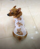 貓咪衣服夏季防掉毛薄款寵物背心狗狗幼小型犬柯基泰迪衣服透氣 【棕底小熊、夏日無袖背心】 M （適合3-6斤寵物） 曬單實(shí)拍圖