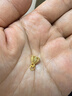 明牌珠寶  足金古法黃金鏤空花絲荷苞吊墜AFC0670工費150 足金吊墜 約1.64克 曬單實拍圖