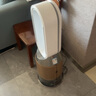 戴森（DYSON）【國(guó)家補(bǔ)貼15%】PH05無(wú)霧除菌加濕凈化風(fēng)扇 除菌除甲環(huán)除異味除塵除過(guò)敏原 醫(yī)護(hù)級(jí) 寵護(hù)認(rèn)證 白金 曬單實(shí)拍圖