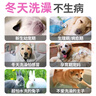 寵物干洗粉狗狗貓咪兔子免洗澡神器除臭止癢沐浴露狗幼犬用品大全 【硅膠洗頭刷】寵物梳毛洗毛刷 曬單實(shí)拍圖