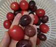 VRSTI蛋殼果蔬凈正品果蔬專用孕婦可用食品級(jí)水果蔬菜殘留清洗粉泡洗粉 220g 1瓶 【增量?jī)?yōu)惠裝】 曬單實(shí)拍圖