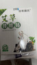 百年扁氏頸椎貼 艾草貼頸肩艾熱貼艾葉貼關(guān)節貼膏暖護脖子中老年人日用貼 艾草頸椎貼5盒(發(fā)10盒) 曬單實(shí)拍圖
