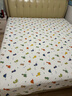卡絲迪爾四季通用雙面全棉床蓋家用榻榻米夾棉床單單件單人學(xué)生宿舍三件套 CG恐龍茶茶【雙面100%全棉面料】 220cm*250cm 曬單實(shí)拍圖