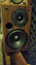 AITIA愛嘉M501 家用發(fā)燒級HIFI無源音箱5寸兩分頻書架箱專業(yè)高保真音響一對惠威喇叭套件 酸枝木皮 曬單實拍圖