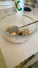 欣美雅（xinmeiya）玻璃飯盒微波爐加熱學(xué)生上班族帶飯保溫餐盒分隔便當(dāng)盒密封保鮮盒 中無隔720ml+小圓480ml+包+餐具 曬單實拍圖
