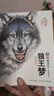 【樊登推薦】狼的智慧 我的25年荒野觀狼之旅 埃莉H拉丁格 著 動(dòng)物智慧 進(jìn)化論 中信出版社圖書(shū) 曬單實(shí)拍圖